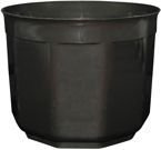 OSŁONKA 19 CZARNA PERŁA