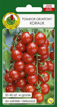 Pomidor koktajlowy czereśniowy Koralik 1 g nasiona PNOS