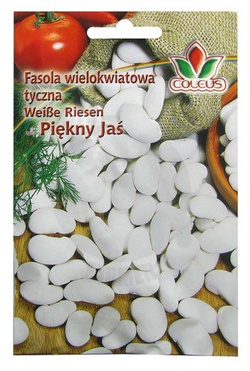 Fasola wielokwiatowa tyczna Piękny Jaś 10 g