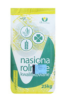 Pszenżyto ozime Tadeus