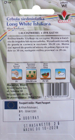 Cebula siedmiolatka Long White Ishikura 2 g nasiona Coleus