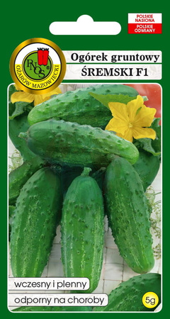 Ogórek gruntowy śremski F1 5 g