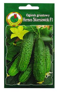 OGÓREK GRUNTOWY HERMES SKIERNIEWICKI F1 5g