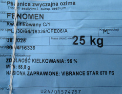 Pszenica ozima Fenomen nasiona kwalifikat C1