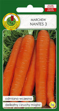Marchew jadalna Nantes 3 średnio wczesna 5 g nasiona PNOS