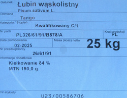 Łubin wąskolistny biały Tango kwalifikat C1 nasiona