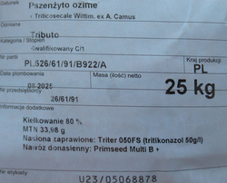 Pszenżyto ozime Tributo