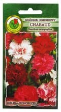 GOŹDZIK OGRODOWY CHABAUD MIESZANY 0,3g