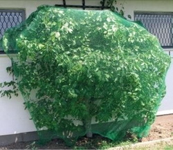 SIATKA PRZECIW PTAKOM 4x20m