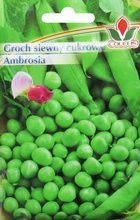 GROCH SIEWNY CUKROWY AMBROZJA 50g
