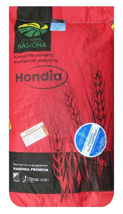 Pszenica Hondia 