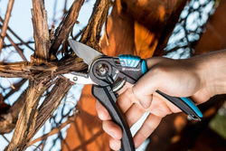 Sekator kowadełkowy ERGO