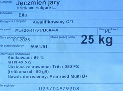 Jęczmień Ella