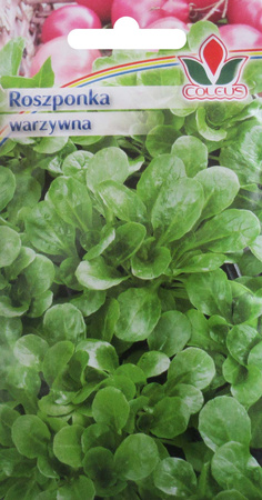 Roszponka warzywna 1 g nasiona Coleus