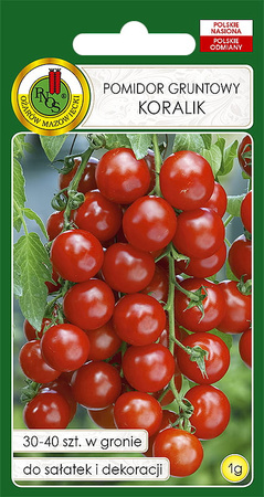 Pomidor koktajlowy czereśniowy Koralik 1 g nasiona PNOS