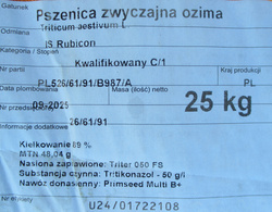 Pszenica ozima IS Rubicon