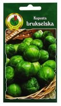 KAPUSTA BRUKSELSKA LONG ISLAND 1g