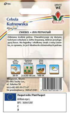 Cebula zwyczajna Kutnowska 5 g nasiona Coleus