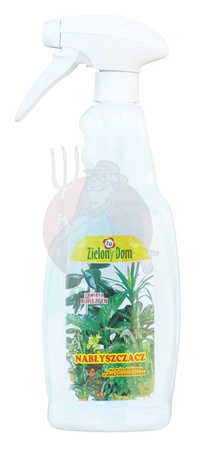 Nabłyszczacz 700 g z atomizerem