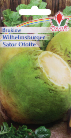 Brukiew Wilhelmsburger Sator Otofte 10 g nasiona Coleus