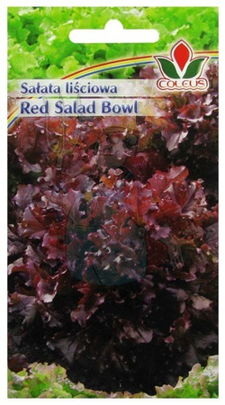 SAŁATA RED SALAD BOWL 2g