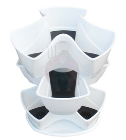 Ziołówka Coubi biała