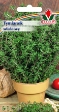 Tymianek właściwy 0,3 g nasiona Coleus