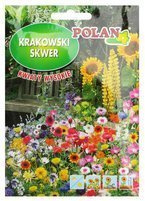 Krakowski Skwer - kwiaty wysokie 30 g