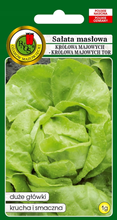 Sałata głowiasta królowa majowych 1 g
