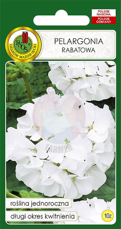 Pelargonia rabatowa F1 biała 10 z