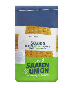 Kukurydza siewna Malongo kwalifikat C1