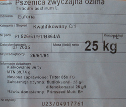 Pszenica Euforia