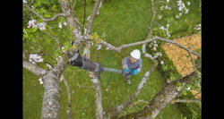 Nożyce akumulatorowe teleskopowe do gałęzi HighCut 360/18V P4A – zestaw