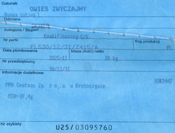 Owies Bingo kwalifikat C1 nasiona do siewu zaprawiany