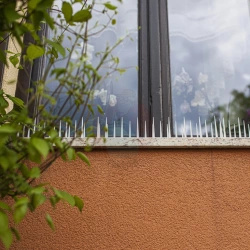 Kolce przeciw ptakom - 40x9x8,5cm, 3 szt.