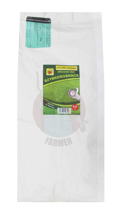 Green carpet grass mixture, fast-growing, 5 kg