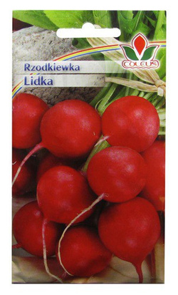 RZODKIEWKA LIDKA 10g