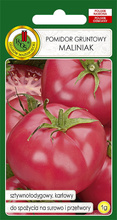Pomidor gruntowy malinowy Maliniak 1 g nasiona PNOS