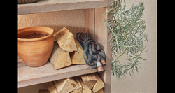 Wąż tekstylny Liano Life 15 m – zestaw