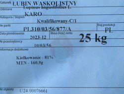 Łubin siewny Karo kwalifikat C1