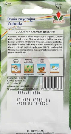 DYNIA ZWYCZAJNA ZUBODA 2g