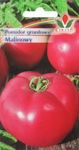 Pomidor gruntowy malinowy 0,3 g