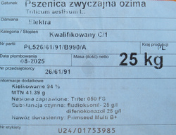 Pszenica ozima Elektra