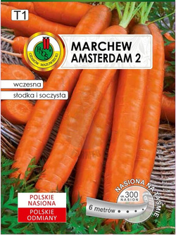 Marchew jadalna Amsterdam II 6 m