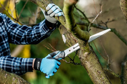 Piła jednoręczna ERGO