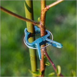 KLIPSY DO SPINANIA ROŚLIN mix 20 szt.