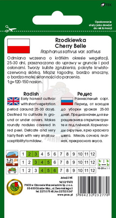 Rzodkiewka Cherry Belle 10 g
