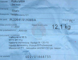 Kukurydza siewna Skarb kwalifikat C1