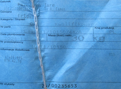 Pszenżyto jare Frigus kwalifikat C1 nasiona