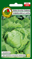 Sałata głowiasta krucha królowa lata 1 g